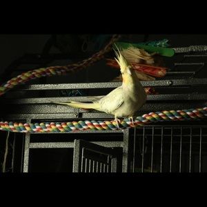 Meet your Posher, Liam